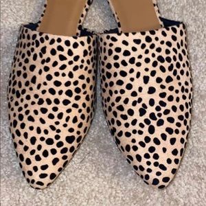 Spotted Mules